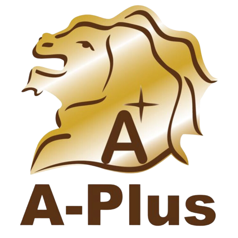 A-plus Food